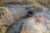 Грязе-газовый сифон в перспективной ООПТ Гора Гнилая