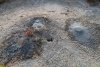 Грязе-газовый сифон в перспективной ООПТ Гора Гнилая
