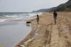 Побережье Азовского моря в перспективной ООПТ Урочище Подмаячное