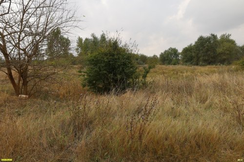 Перспективная ООПТ Комсомольские плавни
