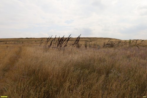 Перспективная ООПТ Гора Гнилая