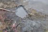 Грязе-газовый сифон в перспективной ООПТ Гора Гнилая