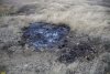 Грязе-газовый сифон в перспективной ООПТ Гора Северо-Нефтяная