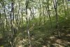  Перспективная ООПТ Западный склон горы Острая