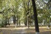 Перспективная зелёная зона в ст.Переясловская (1)