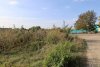 Заросшее тростником озеро в перспективной зелёной зоне в ст.Переясловская (9)