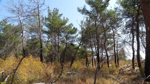 Перспективная ООПТ Голубая бухта (расширение)