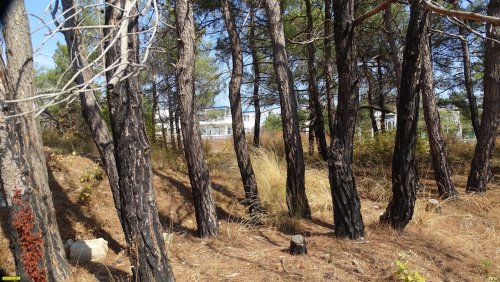 Перспективная ООПТ Голубая бухта (расширение)