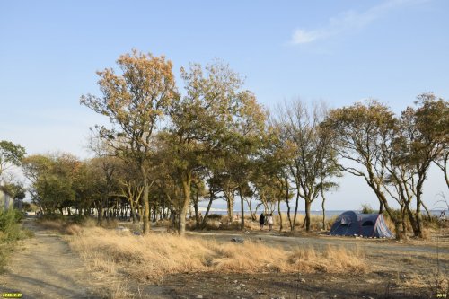 Перспективная зелёная зона в г.Геленджик (18)