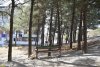 Перспективная зелёная зона в г.Геленджик (29)