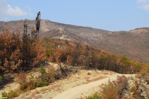Перспективная ООПТ Гора Горбунова