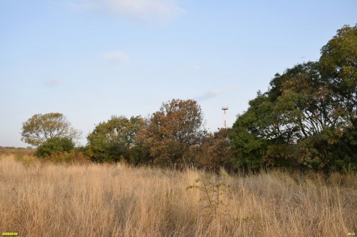 Перспективная зелёная зона в г.Геленджик (14)