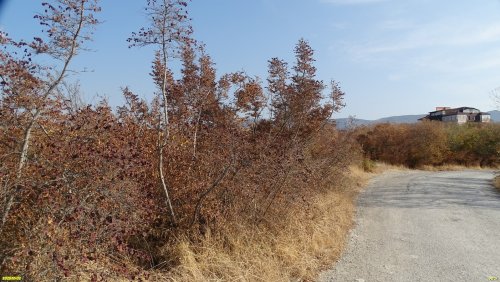 Перспективная зелёная зона в г.Геленджик (15)
