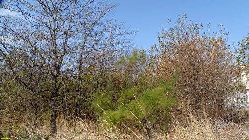 Перспективная зелёная зона в г.Геленджик (16)