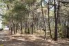 Перспективная зелёная зона в г.Геленджик (27)