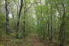 Перспективная ООПТ Шибляк к северу от Тешебса