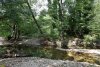 Перспективная ООПТ Лес в районе родника Яблонька (нижняя часть)