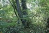 Перспективная зелёная зона в селе Текос (1)