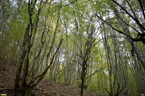 Перспективная ООПТ Карабакова щель
