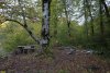 Перспективная ООПТ Долина реки Голубка