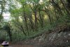 Перспективная ООПТ Южненский лес