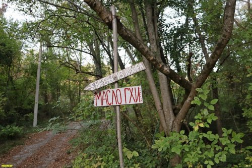Перспективная ООПТ Южненский лес