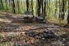 "Элементы благоустройства" в перспективной ООПТ Лес на улице Калараша