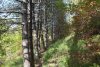 Перспективная ООПТ Греческая щель и гора Пролетарская (Нижняя часть)