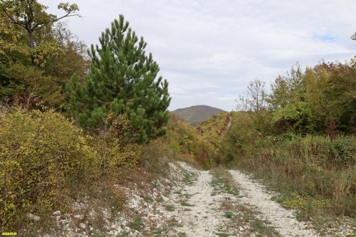 Перспективная ООПТ Греческая щель и гора Пролетарская (Верхняя часть)