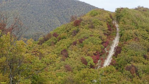 Перспективная ООПТ Греческая щель и гора Пролетарская (Верхняя часть)