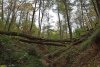 Перспективная ООПТ Первомайская щель