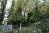 Перспективная ООПТ Небугский лес