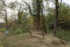 Перспективная зелёная зона в селе Лермонтово (2)