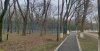 Территория перспективного расширения ООПТ местного значения Городская роща граничит со спортплощадкой