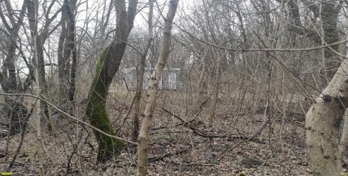 Территория перспективного расширения ООПТ местного значения Городская роща