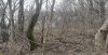 Территория перспективного расширения ООПТ местного значения Городская роща