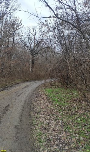 Территория перспективного расширения ООПТ местного значения Городская роща
