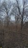Территория перспективного расширения ООПТ местного значения Городская роща