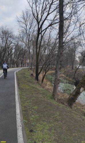 Территория перспективного расширения ООПТ местного значения Городская роща
