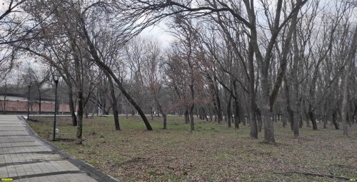 Территория перспективного расширения ООПТ местного значения Городская роща