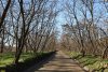 Перспективные ООПТ Берег озера Тархун (слева) и зелёная зона в г.Кропоткин (17) (справа)