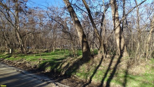 Перспективная зелёная зона в г.Кропоткин (17)