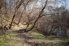 Перспективная ООПТ Берег озера Тархун