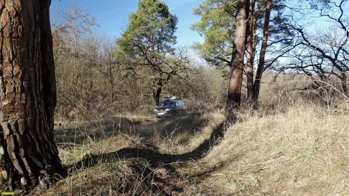 Перспективная ООПТ Массив сосны