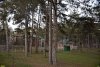 Перспективная ООПТ Сосновая роща (расширение)