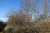 Перспективная зелёная зона в ст.Темижбекской (5)