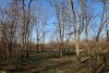 Перспективная зелёная зона в ст.Темижбекской (2)