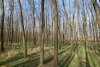 Перспективная зелёная зона в ст.Темижбекской (1)