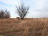 Перспективная ООПТ Городищенские бугры