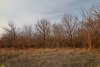 Перспективная ООПТ Городищенский лес